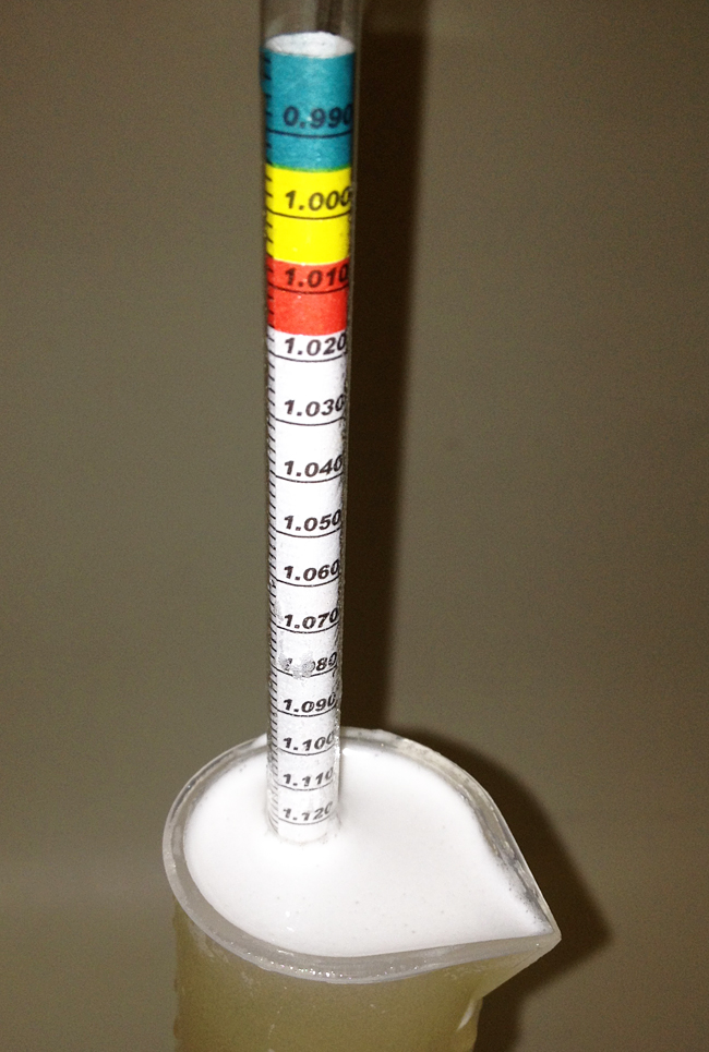 The hydrometer test