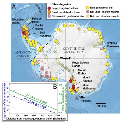 antarctic