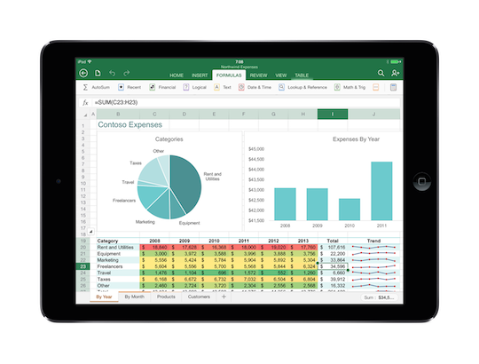 Microsoft Excel for iPad