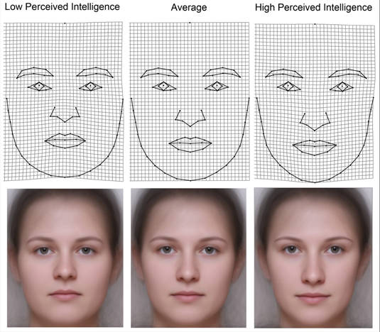 Women's faces perceived to be of low, average, and high intelligence