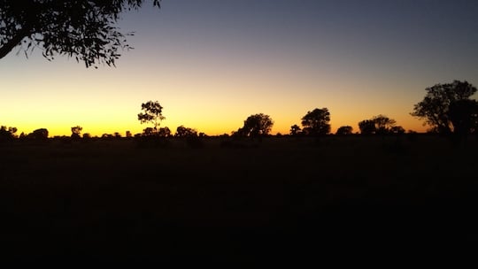 Dawn in Willowra