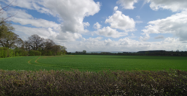 The field where the Punch payload landed