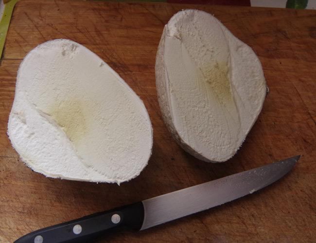 The mosaic puffball sliced in two