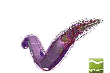 Openworm screenshot