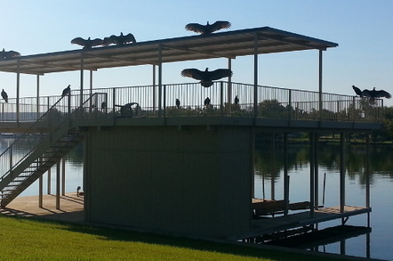 Atmospheric snap of vultures silhouetted against a sunset on a wooden structure on the shore of a lake. (C) Jerry Rogers