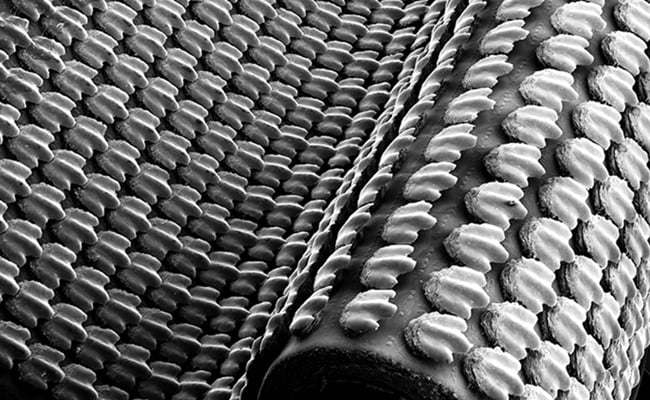 A microscopic view of the biometric shark skin. Pic: James Weaver