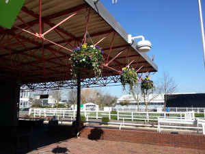 Cheltenham Racecourse, wireless access point: photo The Jockey Club