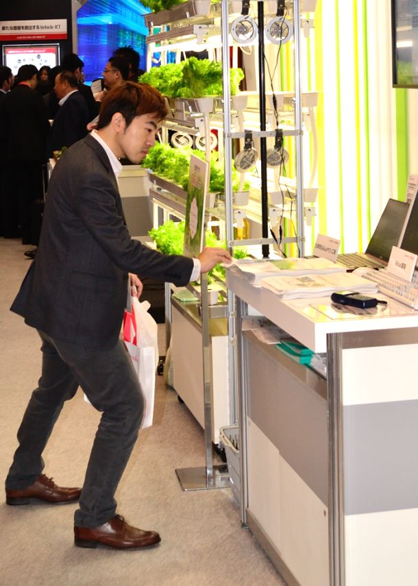 man grabs fujitsu lettuce details