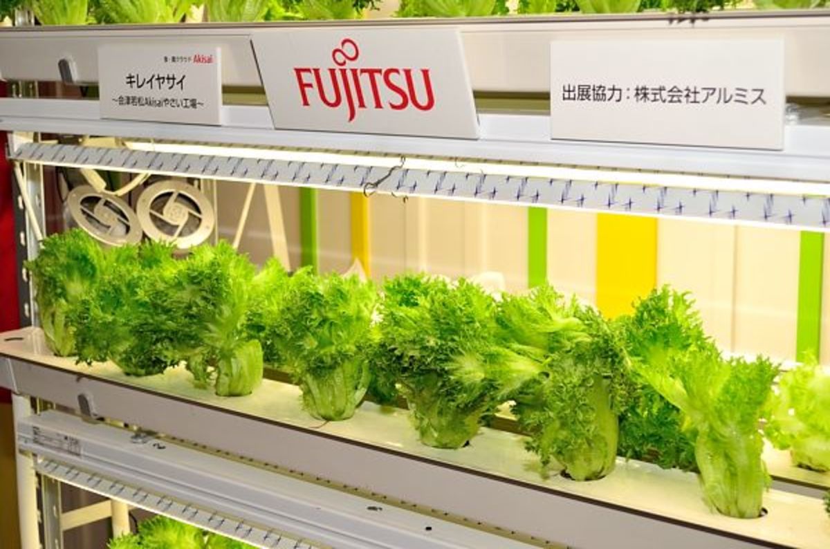 https://regmedia.co.uk/2014/05/21/racks_of_fujitsu_lettuce.jpg?x=1200&y=794