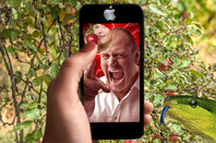 Eve in the Garden of Eden talking to a rather angry God on Snapchat