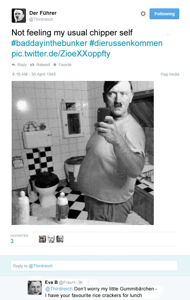 Adolf does a mirror selfie and posts it to Twitter