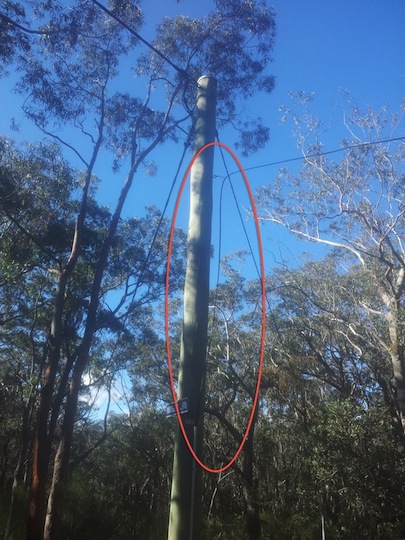 The cable attached to a power pole