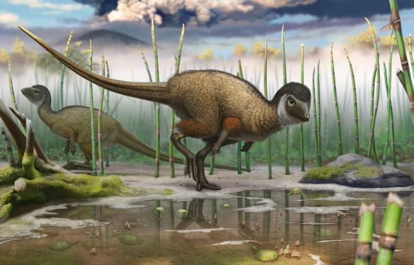 Kulindradromeus zabaikalicus, a plant-eating feathered dinosaur