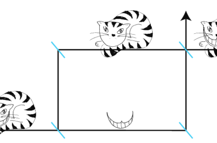 The quantum cheshire cat