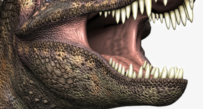 Tyrannosaurus rex