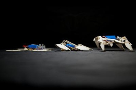 The self-folding crawling robot in three stages