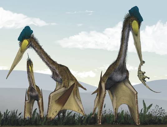 Azhdarchid pterosaurs