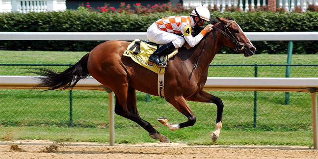 Racehorse