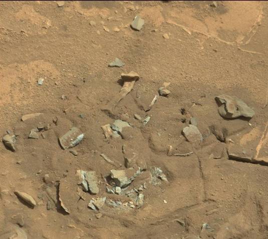 Suspected thigh bone on Mars spotted by Curiosity