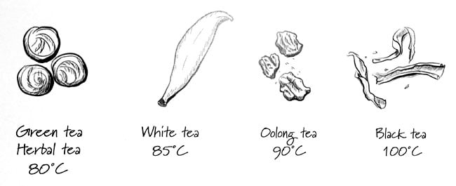 Tea type temperature guide