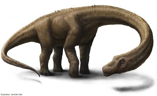 Dreadnoughtus schrani
