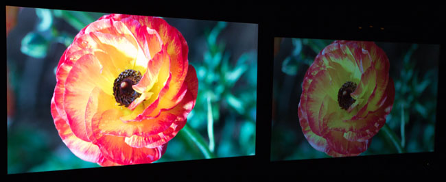 Dolby Vision display (left), standard display (right)