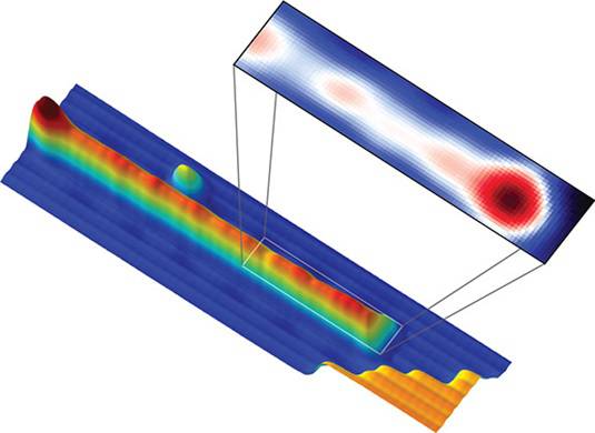 Majorana fermion