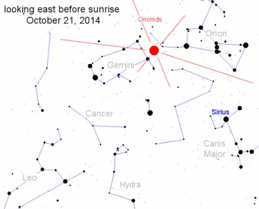 orionids