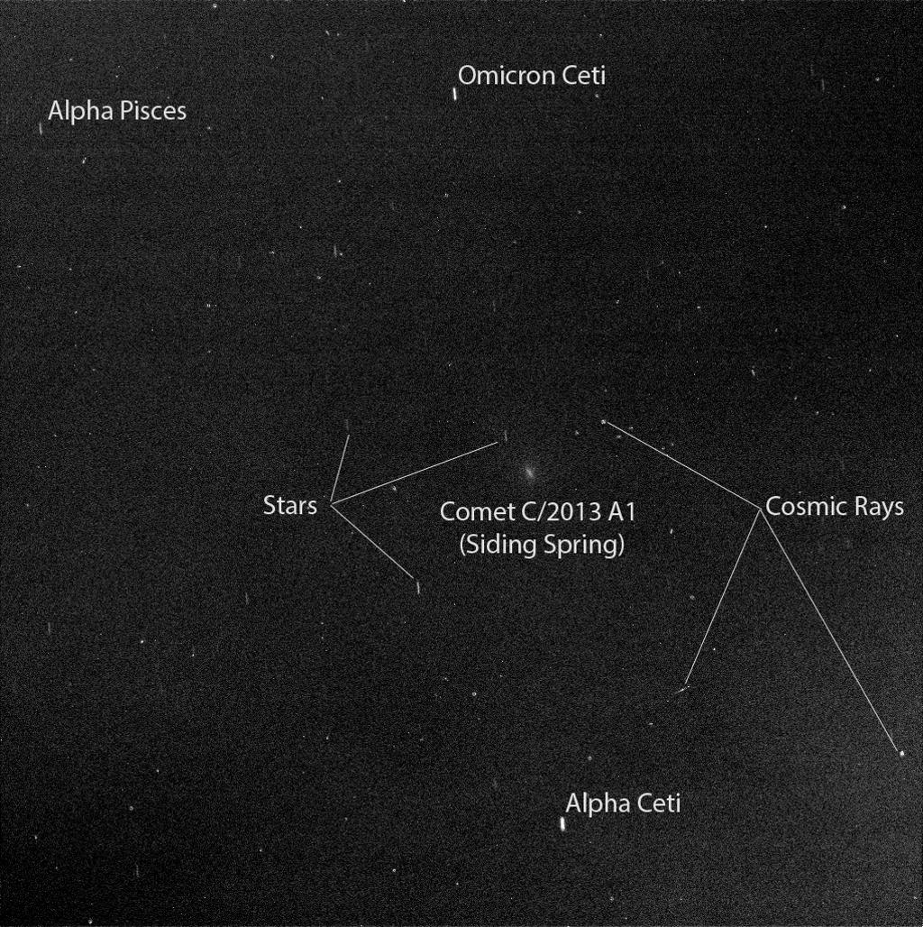 Comet Siding Spring as spotted by Opportunity