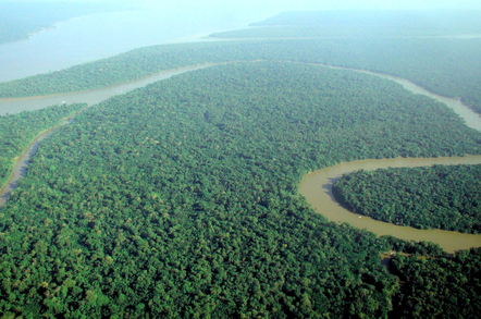 Amazon_rain_forest