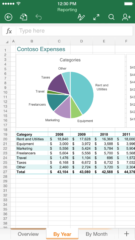 Excel on the iPhone