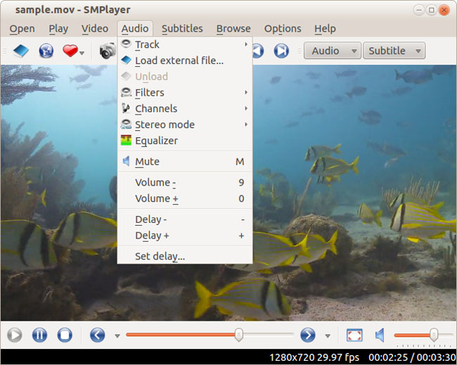 SMPlayer media player