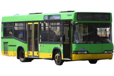 Bus
