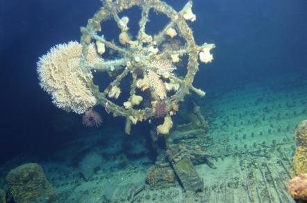 Wheel of a sunken ship, covered in barnacles