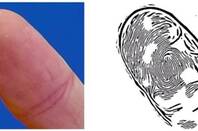 fingerprint