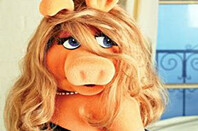 Miss Piggy