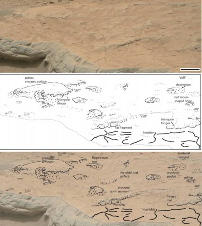 Possible fossil strata on Mars marked out