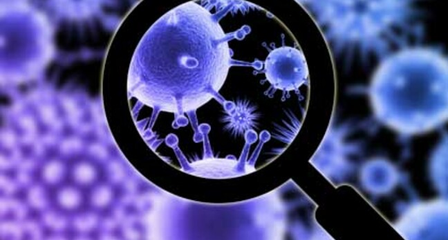 Close-up of the flu virus (artist's impression) - Shutterstock