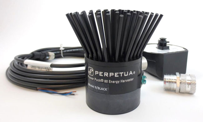 Perpertua Power: Surely the best-looking of the harvesting technologies