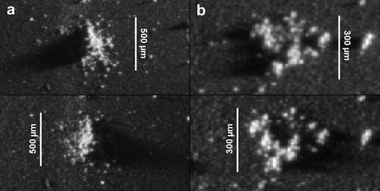 Fluffy dust grains found by the Rosettas Probe