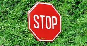 Stop sign in front of a bush. Image via Shutterstock