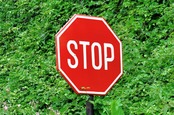 Stop sign in front of a bush. Image via Shutterstock