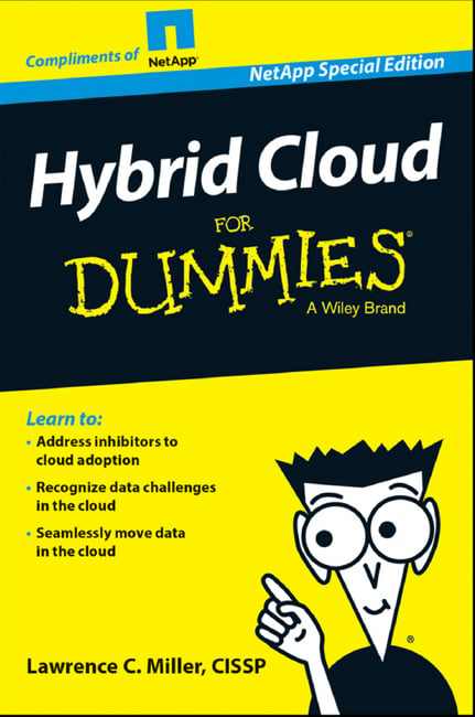 NetApp dummies hybrid cloud