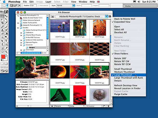 photoshop 7 release date