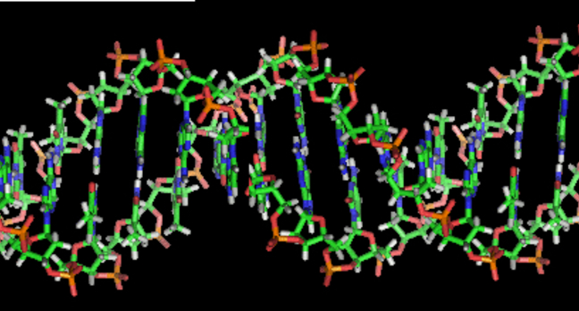 DNA Helix