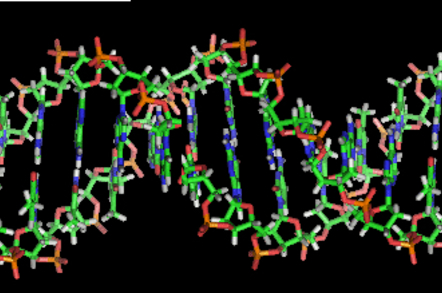 DNA Helix