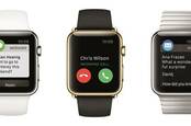 Apple Watch lineup
