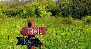 sign post pointing to trail in two different directions