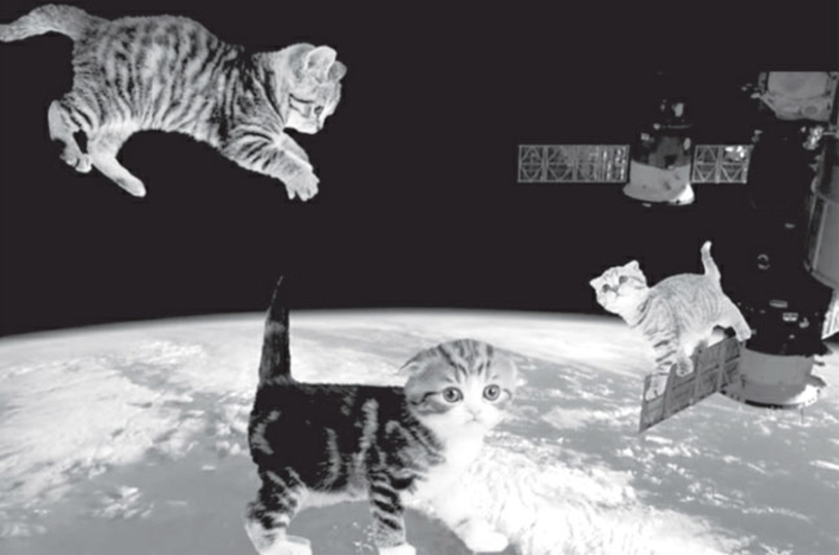 Physics uses warp theory to look beyond relativity