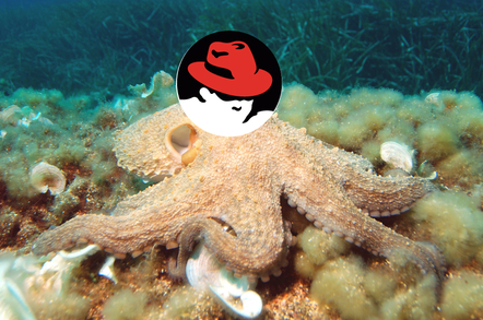 Octopus_Red_Hat